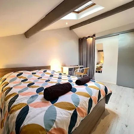 Le Clos Chassaing N5-wifi-centre Ville-climatisation *